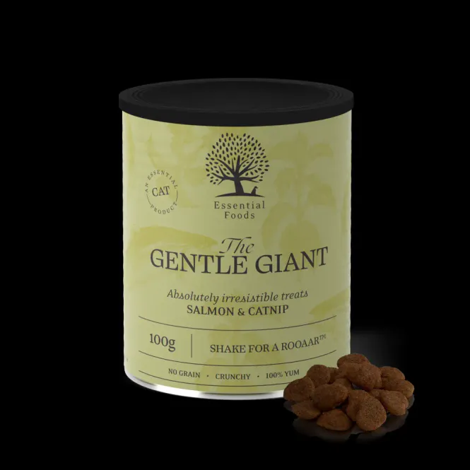 Hovedbilde THE GENTLE GIANT
